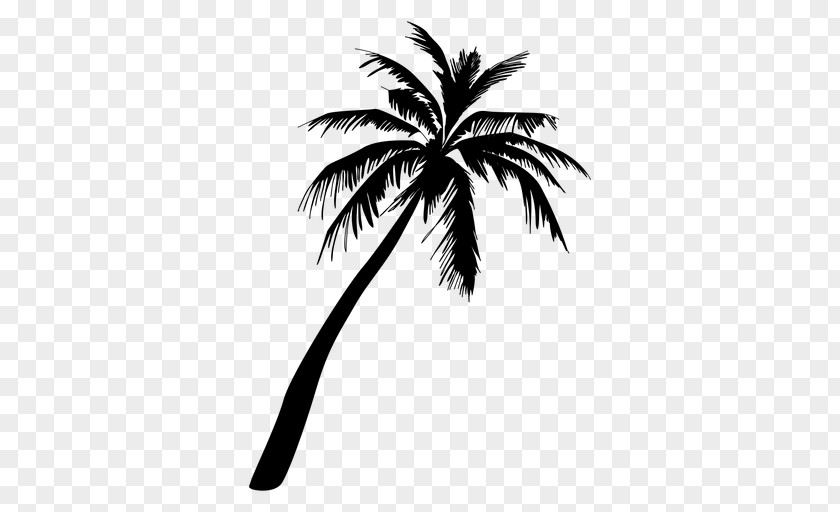 Silhouette Arecaceae Clip Art PNG