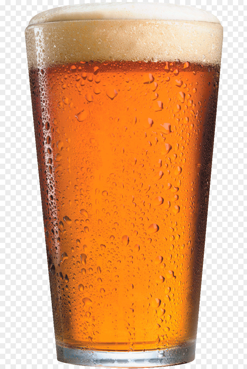 Beer Bottle Bitter Pale Ale Pint Glass Brewery PNG