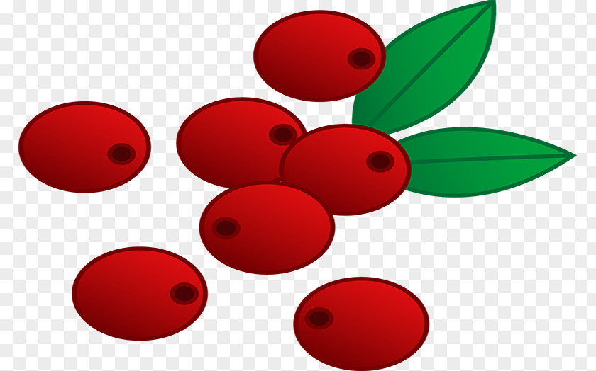 Cranberry Sauce Clip Art PNG