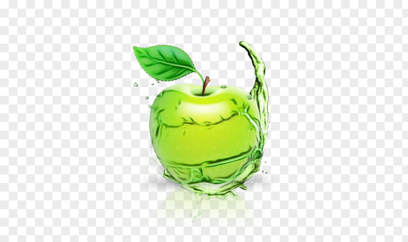 Granny Smith Liquid Green Natural Foods Fruit Plant Apple PNG
