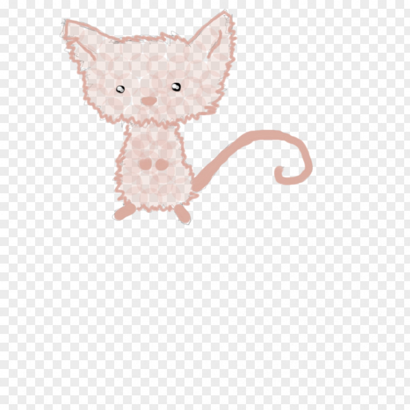 Kitten Whiskers Mouse Rat Dog PNG