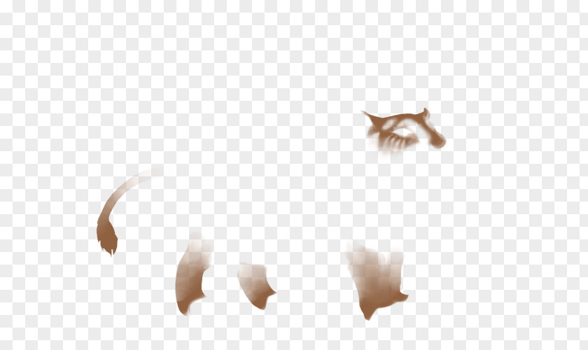 Smudges Close-up Organism Tail Ear PNG