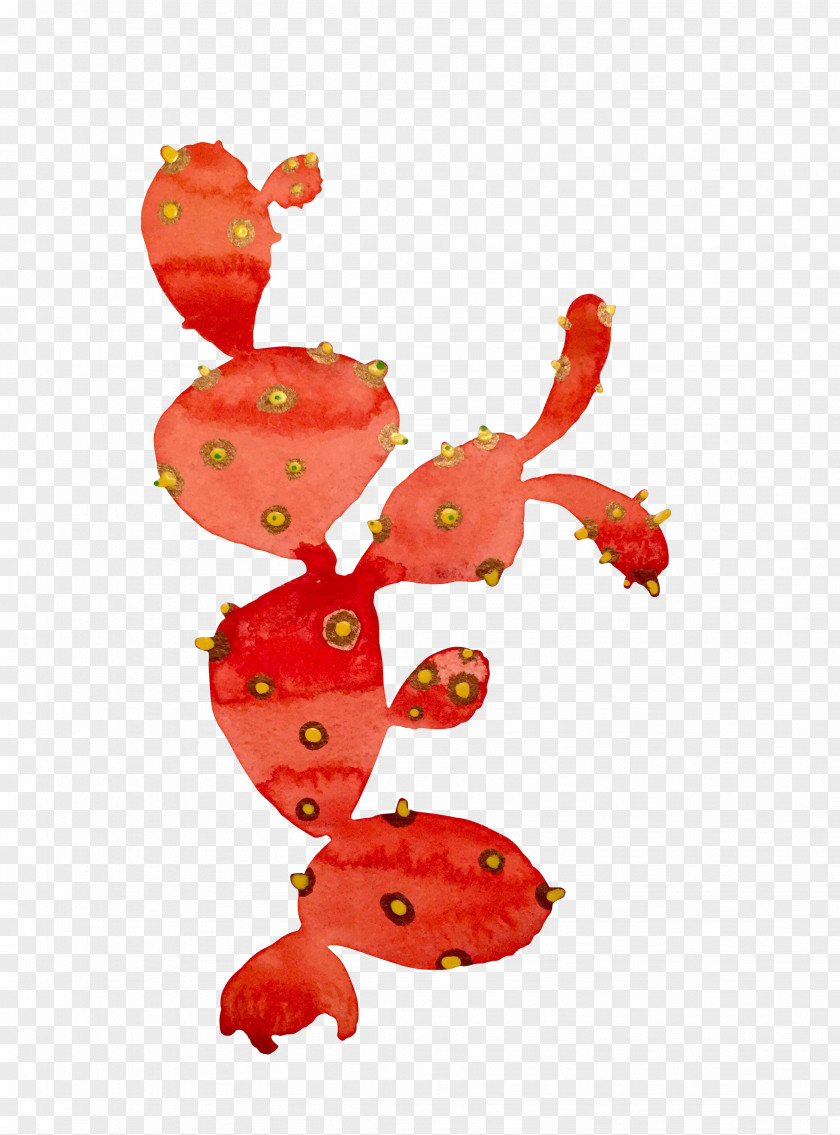 Cactus Strawberry Flowering Plant Fruit PNG