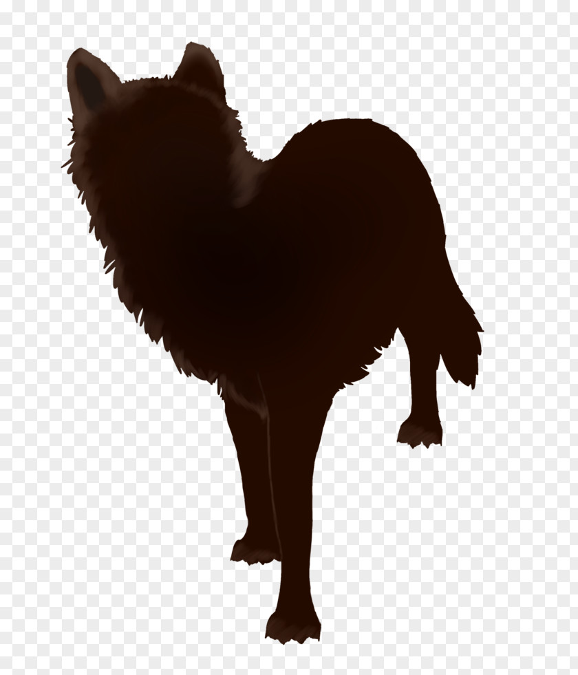 Cat Dog Breed Snout Fur PNG