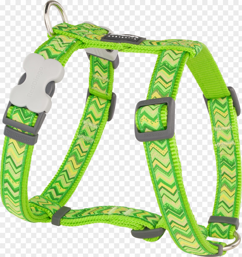 Dog Dingo Harness Horse Harnesses Leash PNG