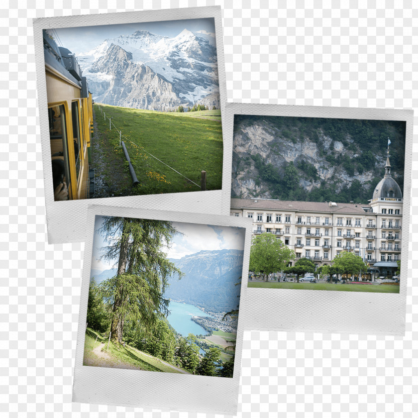 Photographic Paper Picture Frames Advertising Interlaken PNG