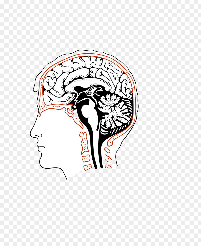 Abstract Human Brain Comics Royalty-free Stock Photography PNG