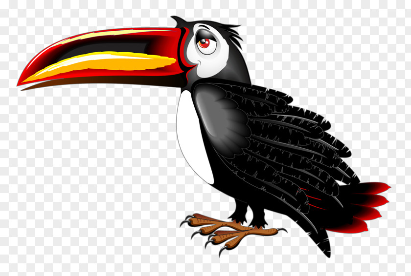 Crow Toucan Bird Cartoon Clip Art PNG