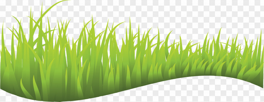 Grass Lawn Royalty-free Clip Art PNG
