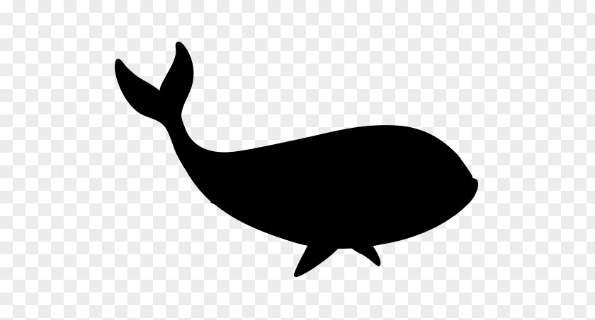 M Whales Fauna Porpoise Clip Art Black & White PNG