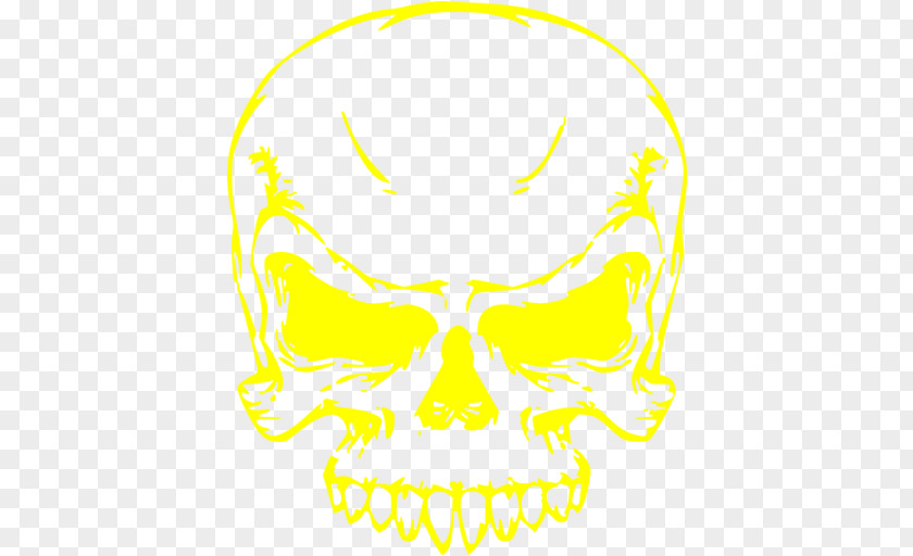 Nose Skull Jaw Clip Art PNG