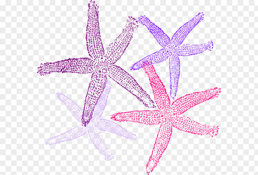 Palm Border Wedding Invitation Beach Starfish Clip Art PNG