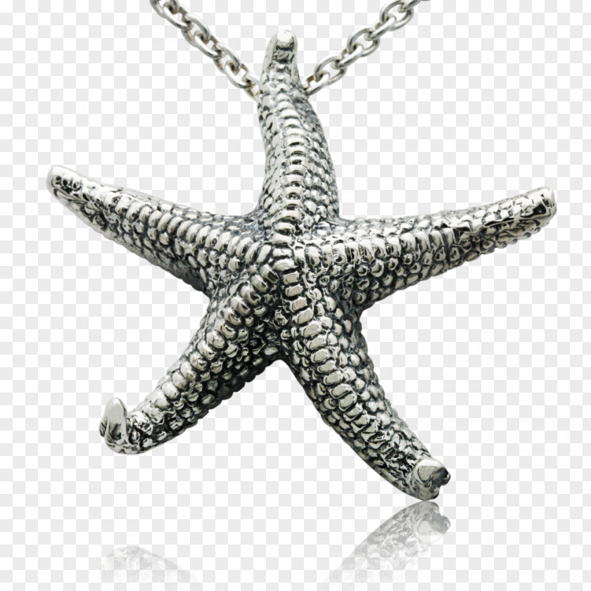 Star Ocean Jewellery Invertebrate Starfish Charms & Pendants Silver PNG
