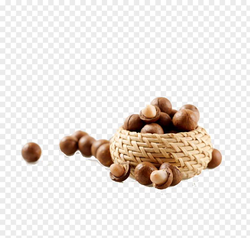 Walnut Macadamia Nut Fruit PNG