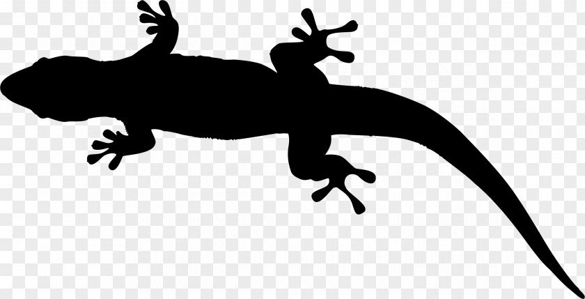 Gecko Lizard Amphibians Clip Art Fauna PNG