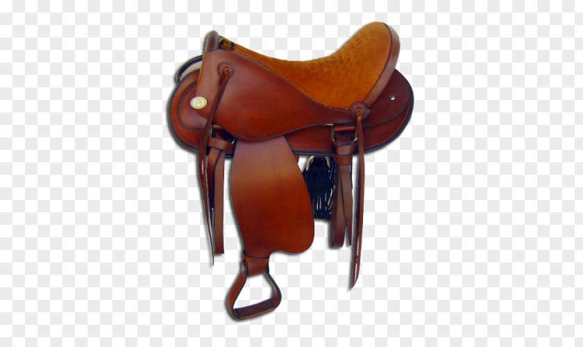 Horse Saddle Harnesses Rein Riding PNG