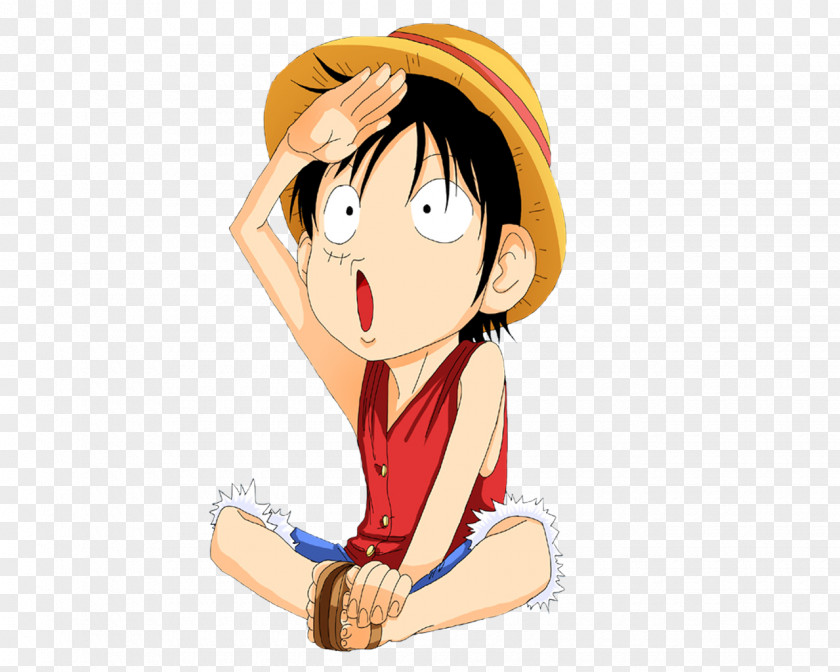 One Piece Monkey D. Luffy Vinsmoke Sanji Roronoa Zoro Nami PNG