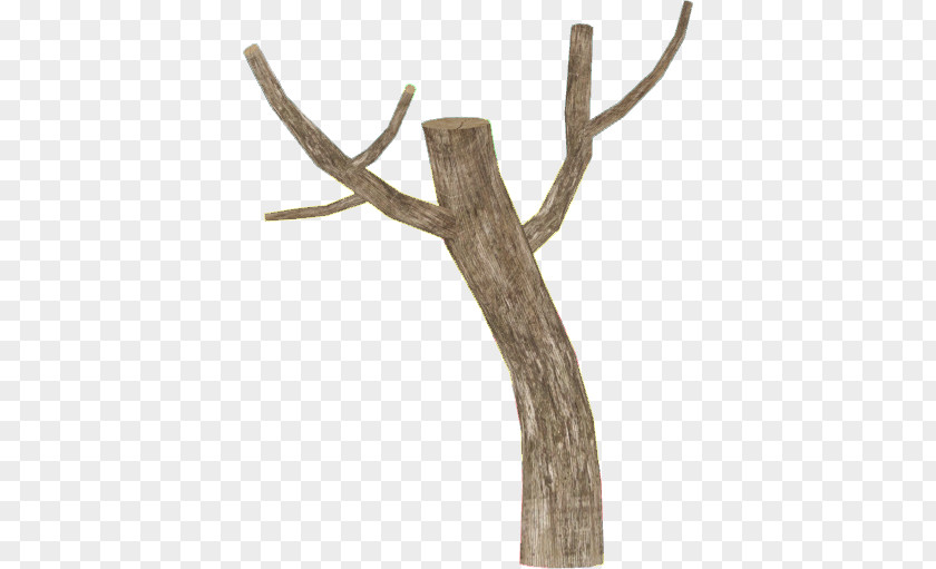 Plant Stem Furniture Branch Antler Twig Wood Horn PNG