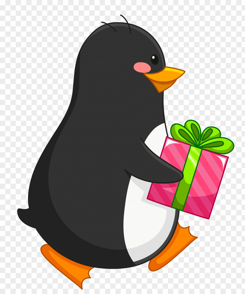 Transparent Penguin With Gift Clipart Amazon.com Christmas Card PNG