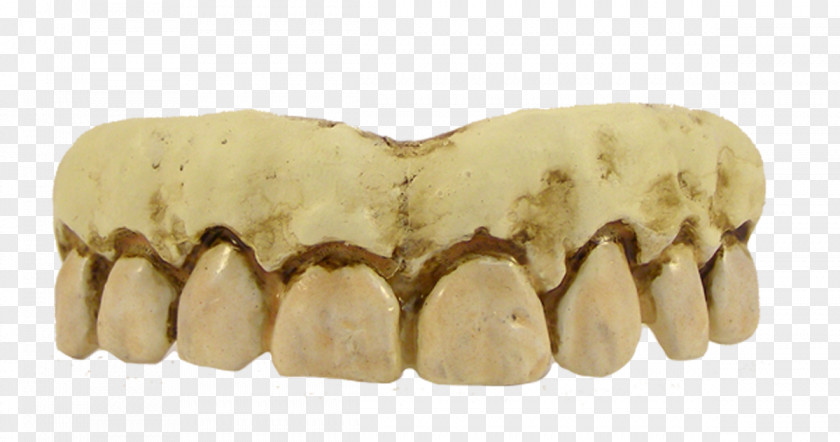 Fake Smile Human Tooth Costume Skeleton PNG