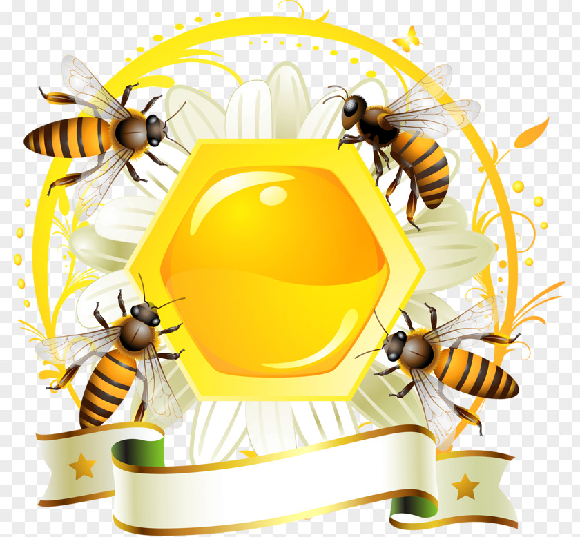 Honey Decoration Bee Label Honeycomb PNG