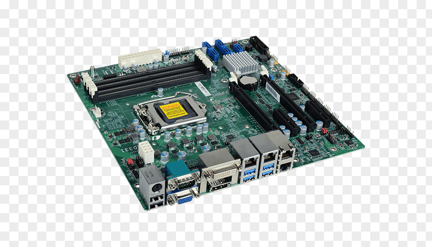 Intel Graphics Cards & Video Adapters Motherboard Central Processing Unit Computer Hardware PNG