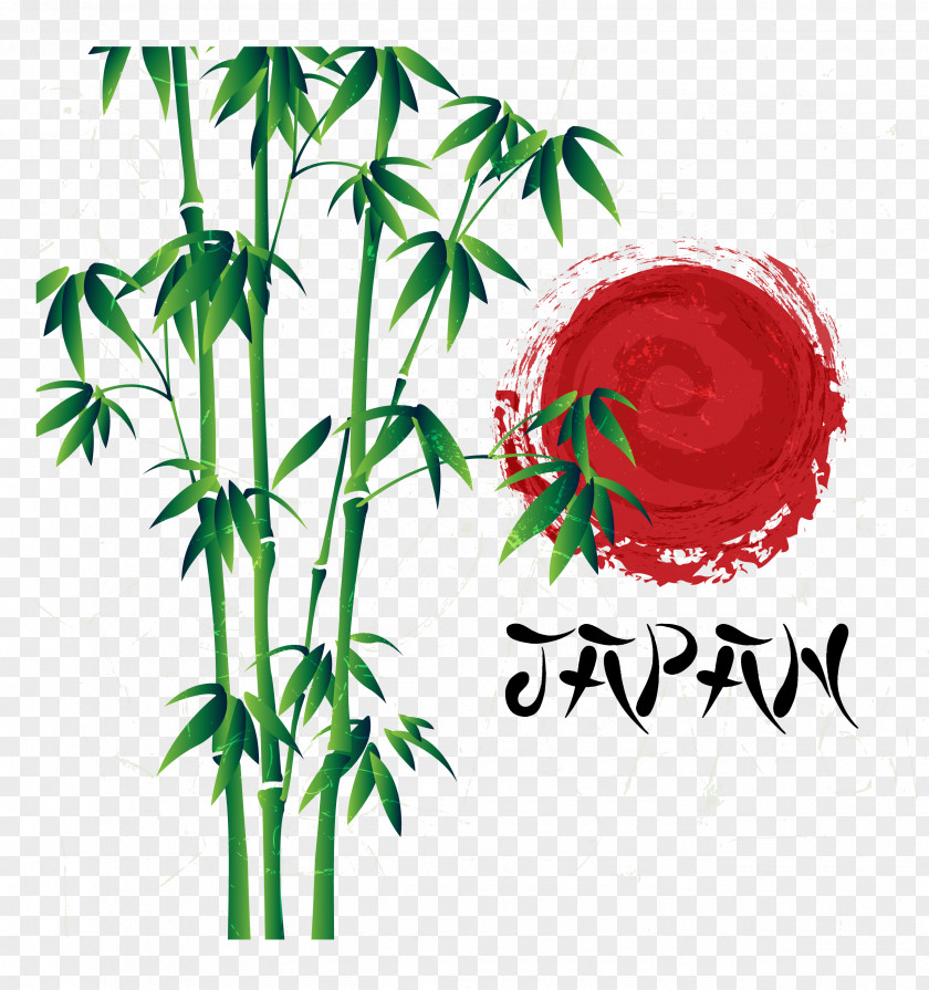 Painted Bamboo Adobe Illustrator PNG