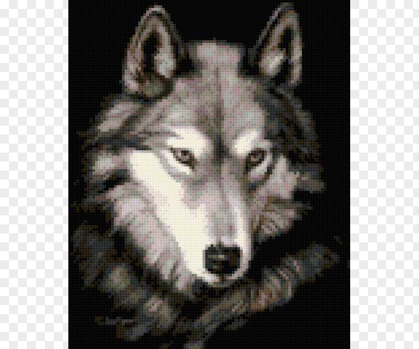 Animation Gray Wolf She PNG