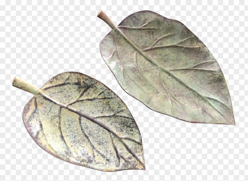 Banana Leaf Plant PNG