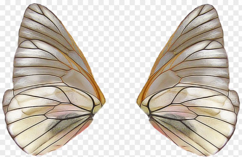 Brushfooted Butterfly Symmetry Feather PNG