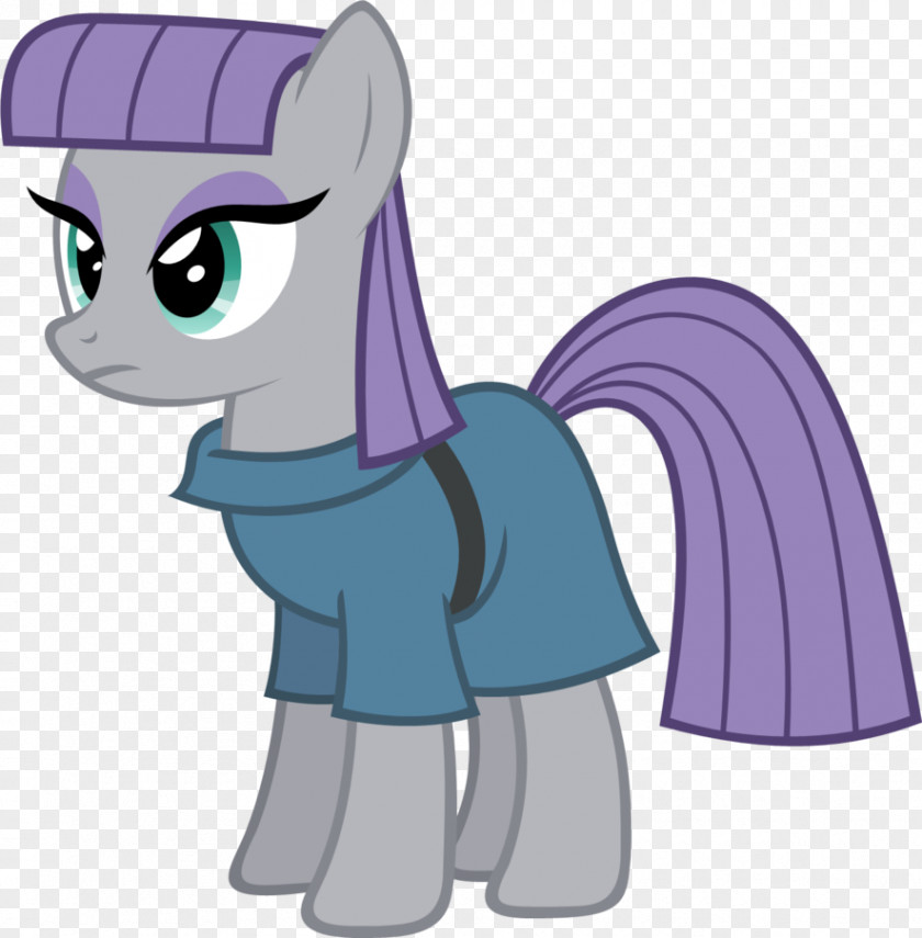 Maud Pie Pinkie Rarity Applejack Pony Rainbow Dash PNG