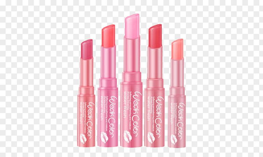 Ms. Lipstick Lip Balm Gloss Cosmetics PNG