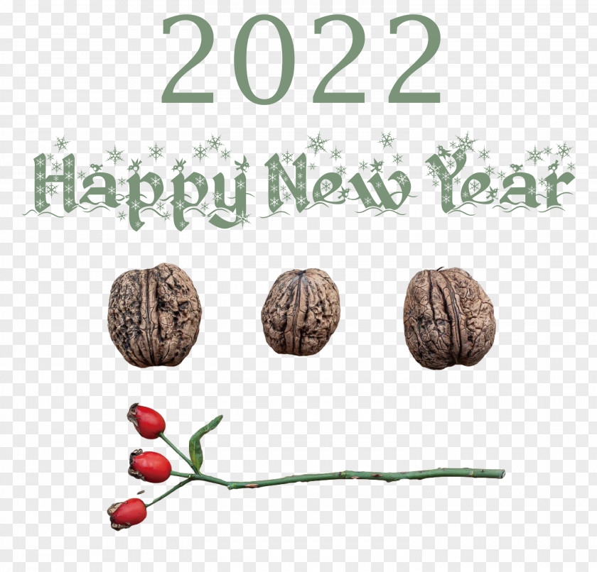 2022 Happy New Year PNG