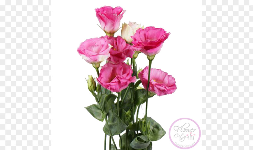 Flower Garden Roses Prairie Gentian Cut Flowers Bouquet PNG