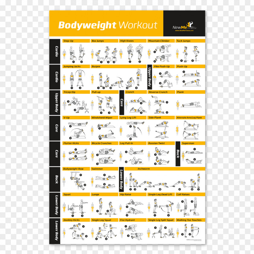 Laminated Bodyweight Exercise Personal Trainer Fitness Centre Weight Training PNG