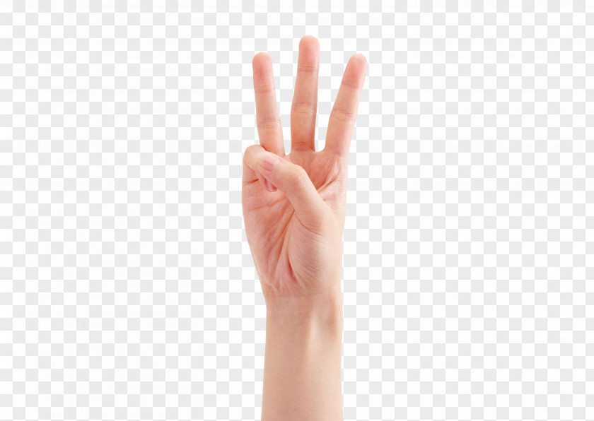 Three Fingers Thumb Hand Model Gesture PNG
