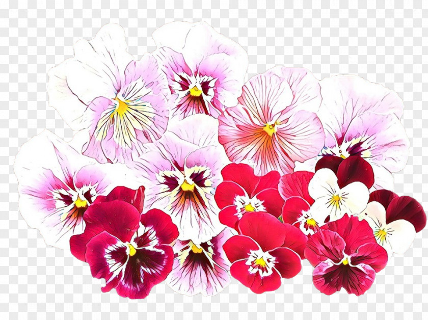 Viola Geranium Pink Flower Cartoon PNG
