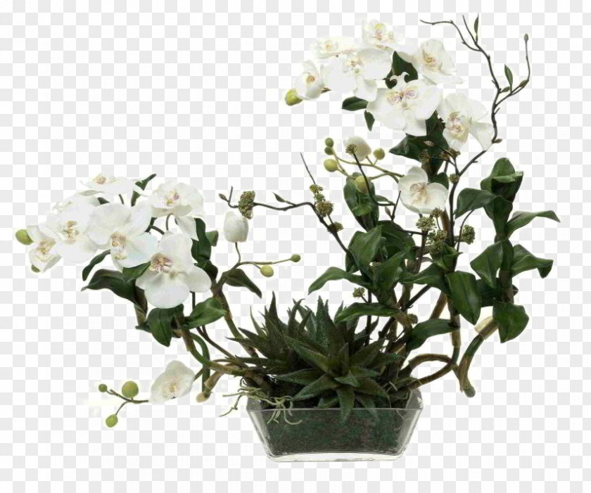 White Flower Glass Moth Orchids Artificial PNG