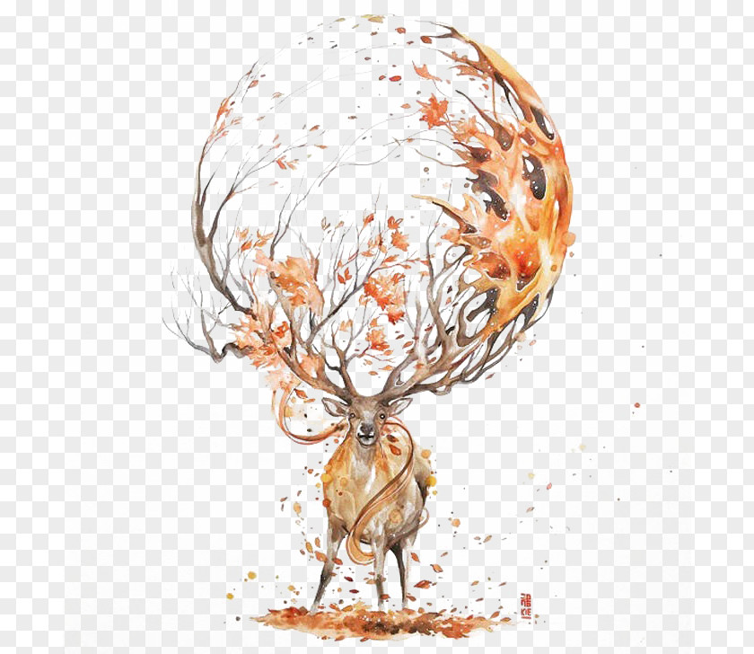 Autumn Deer Watercolor Painting Drawing Illustration PNG