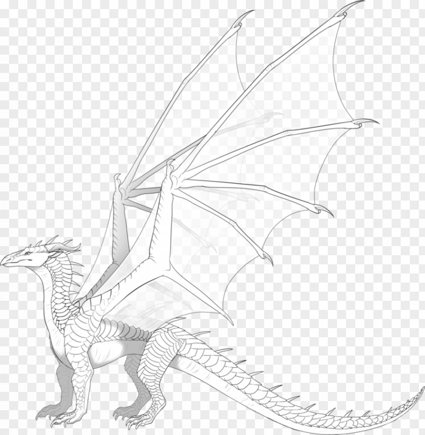 Dragon Wikia Wings Of Fire Sketch PNG