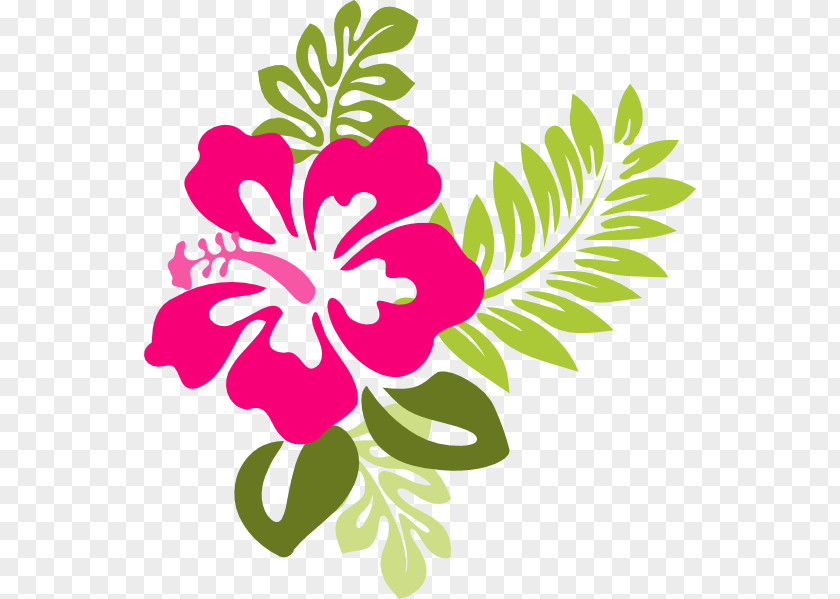 Hibiscus Frame Cliparts Hawaiian Free Content Clip Art PNG