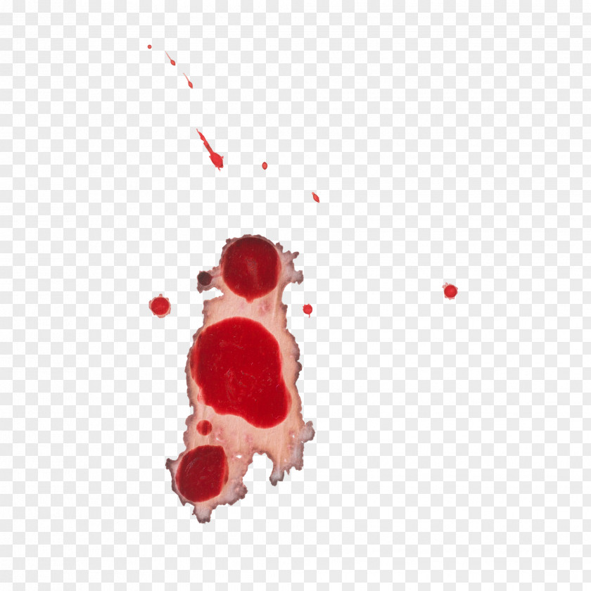 Red Particles Blood Download 19 September PNG