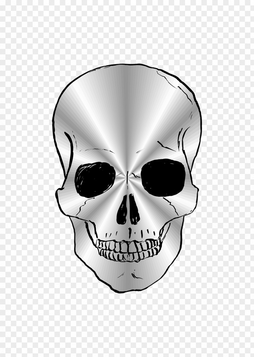 Skull Silver PNG