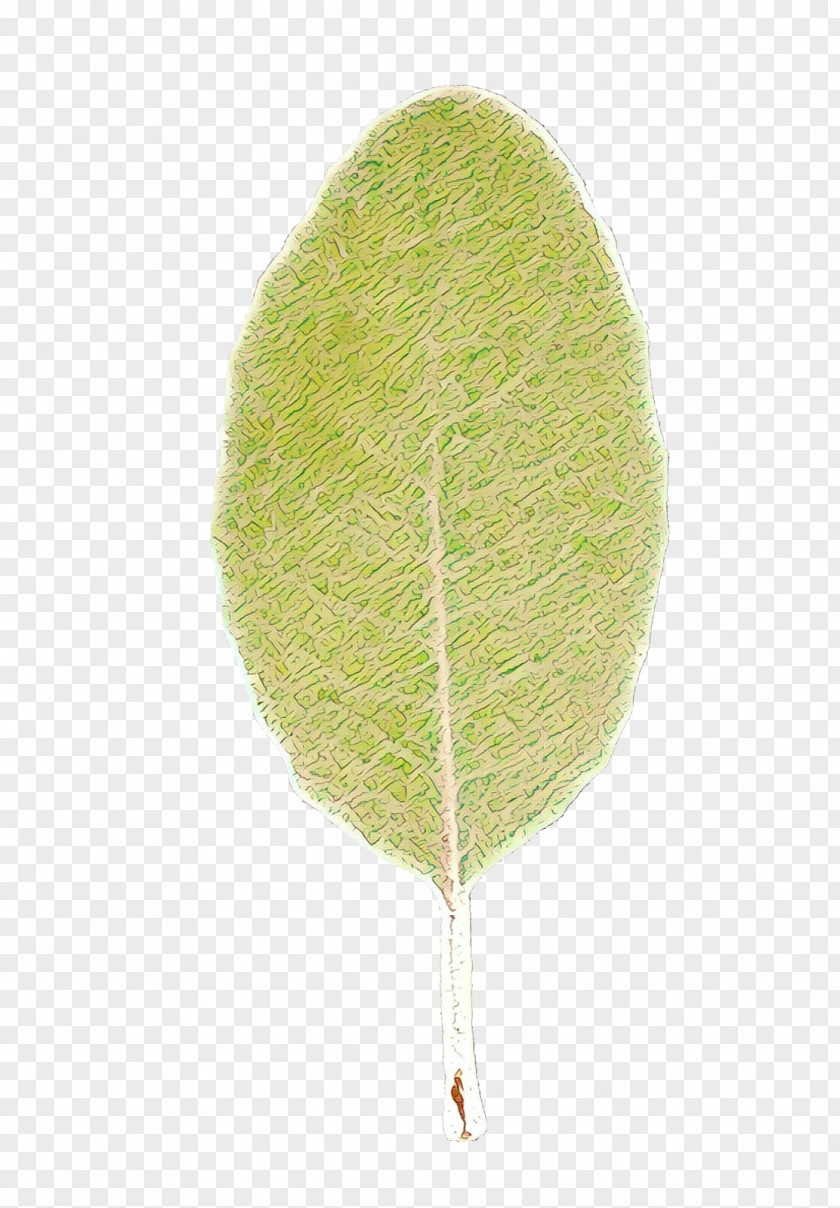 Feather Tree Leaf PNG