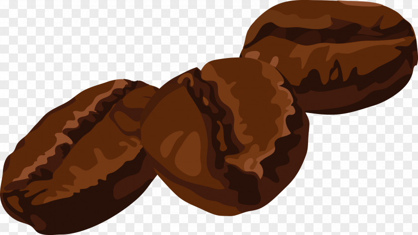 Hand Painted Coffee Beans Vector Bean Cafe PNG
