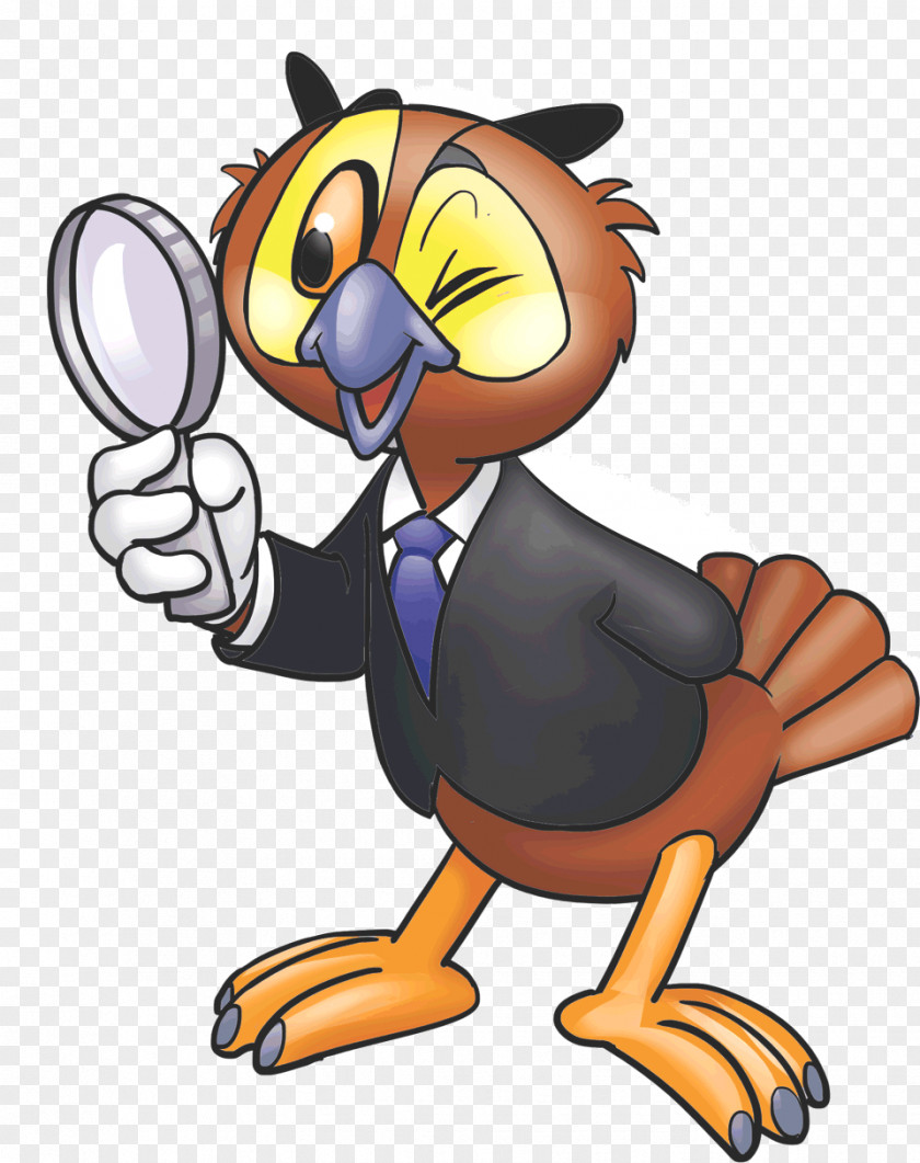 Owl Magnifying Glass Beak Coals To Newcastle Clip Art PNG