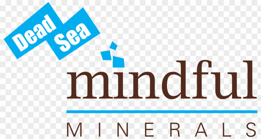 Sea Minerals Mindfulness In The Workplaces Salt Retreat Life Insurance PNG