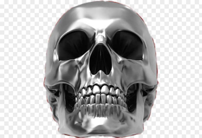 Skull Bone Human Skeleton Image Metal PNG