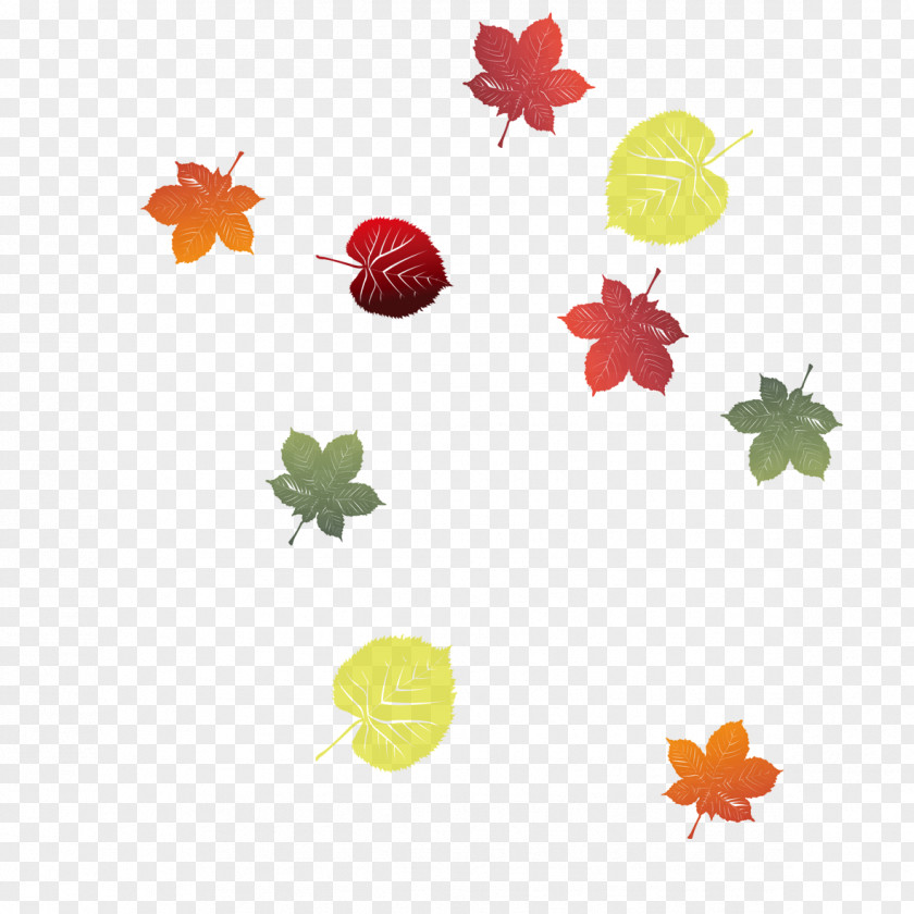 Autumn Leaves Leaf Download Clip Art PNG