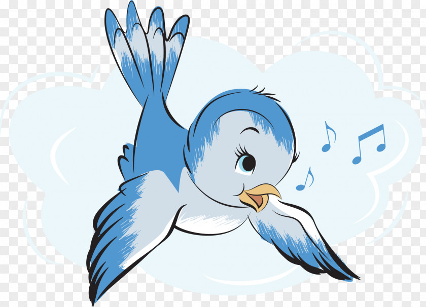 Birds Eastern Bluebird Desktop Wallpaper Clip Art PNG